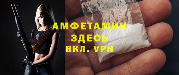 шишки Алексин