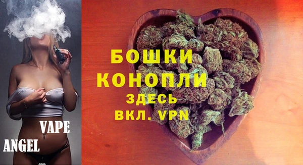 шишки Алексин