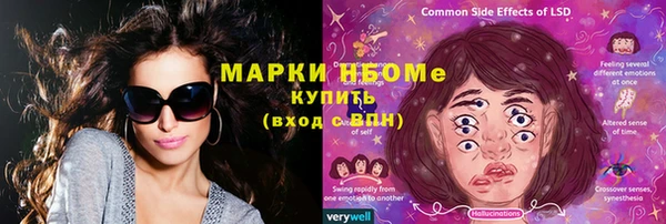 шишки Алексин
