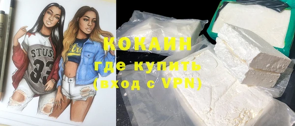 шишки Алексин
