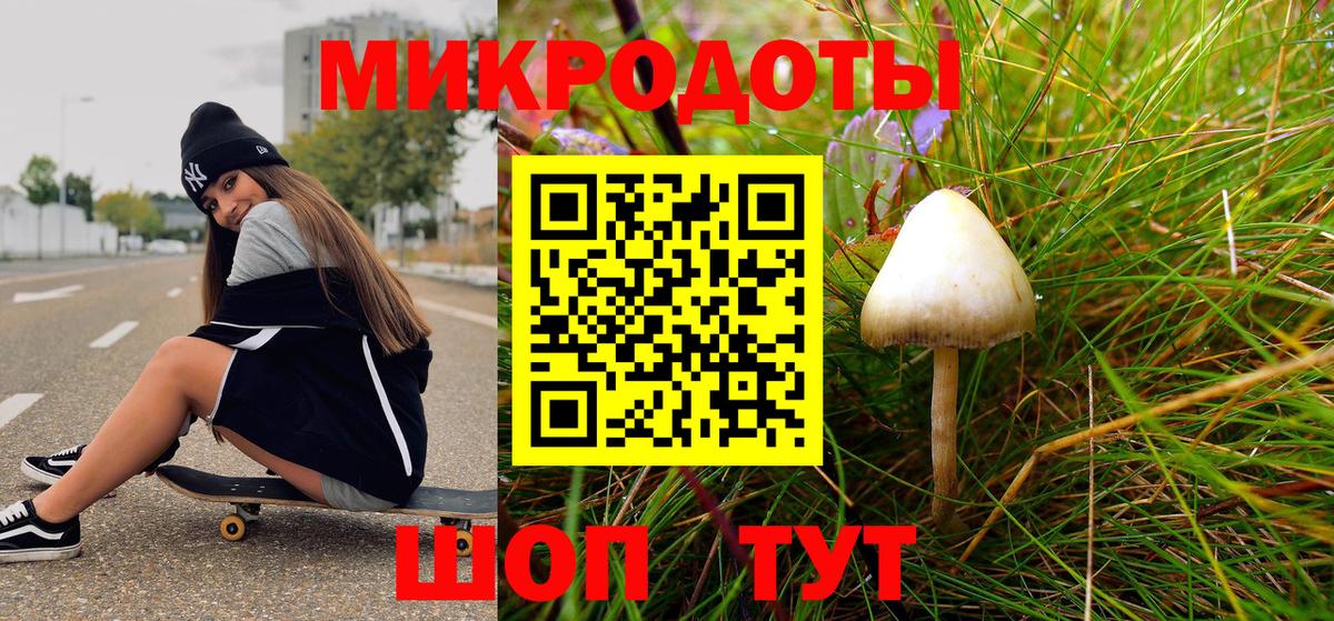 Галлюциногенные грибы Psilocybe  Вход с VPN  Псилоцибиновые грибы ЛСД  Всеволожск 